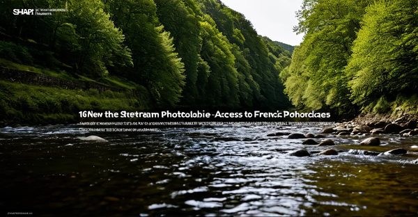 Nouvelle adresse french stream : accéder au site en toute sécurité